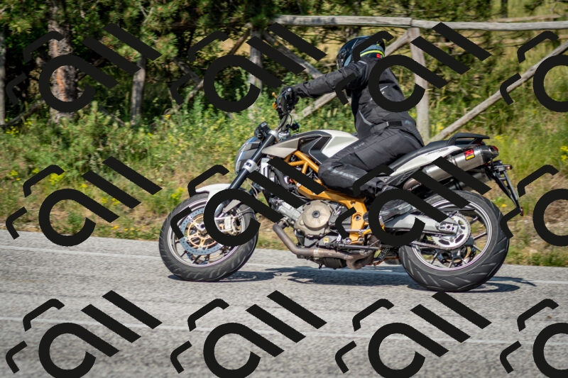 202506141625-DSC_9322_c2