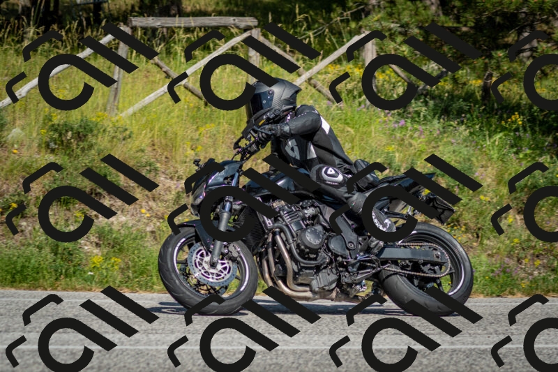 202506141625-DSC_9324_c2