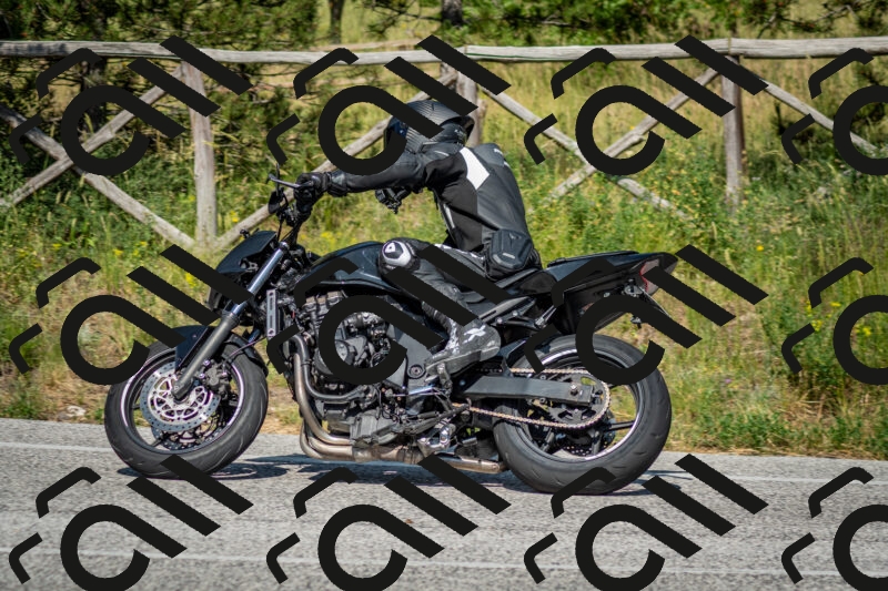 202506141625-DSC_9325_c2