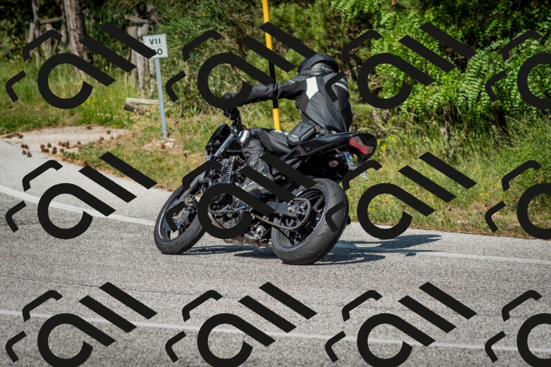 202506141625-DSC_9326_c2