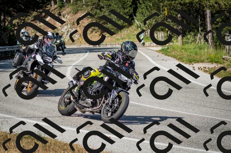 202506141626-DSC_9331_c2