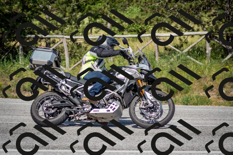 202506141626-DSC_9340_c2