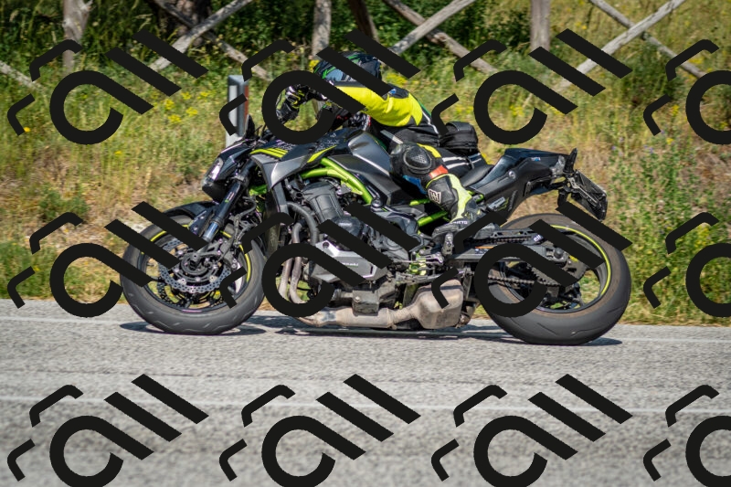 202506141628-DSC_9362_c2