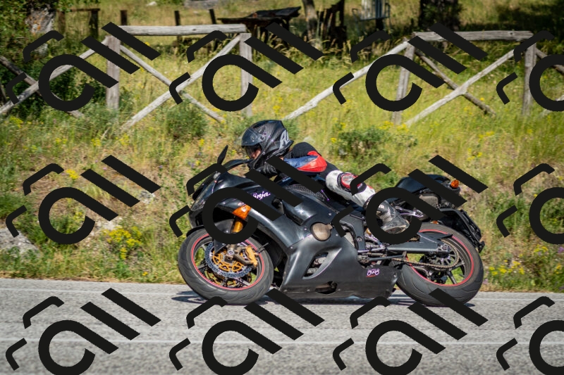 202506141631-DSC_9389_c2