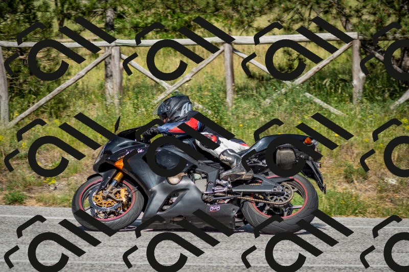 202506141631-DSC_9390_c2