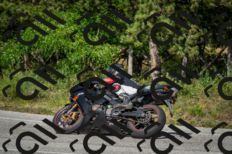 202506141631-DSC_9391_c2