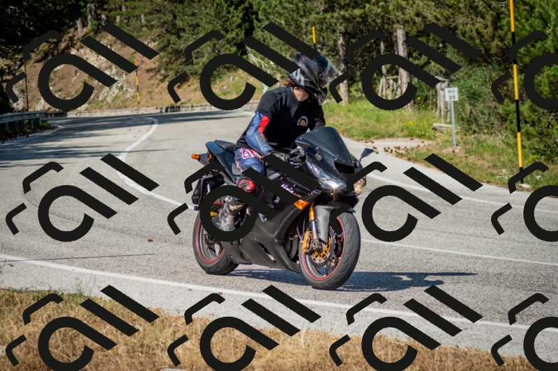 202506141632-DSC_9401_c2