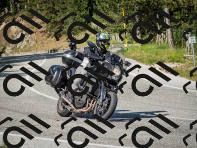 202506141633-DSC_9408_c2