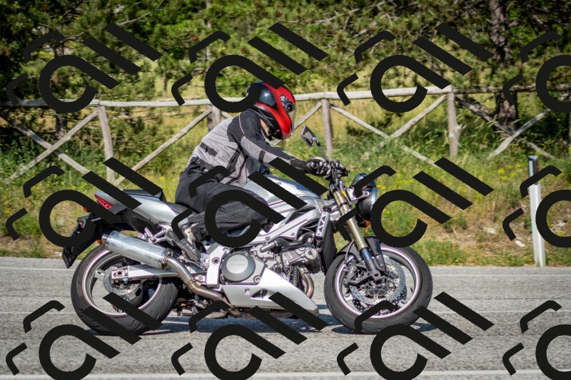 202506141638-DSC_9423_c2