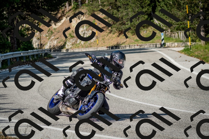 202506141639-DSC_9432_c2