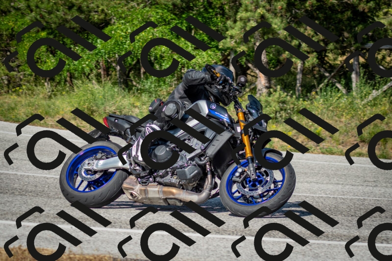 202506141639-DSC_9433_c2