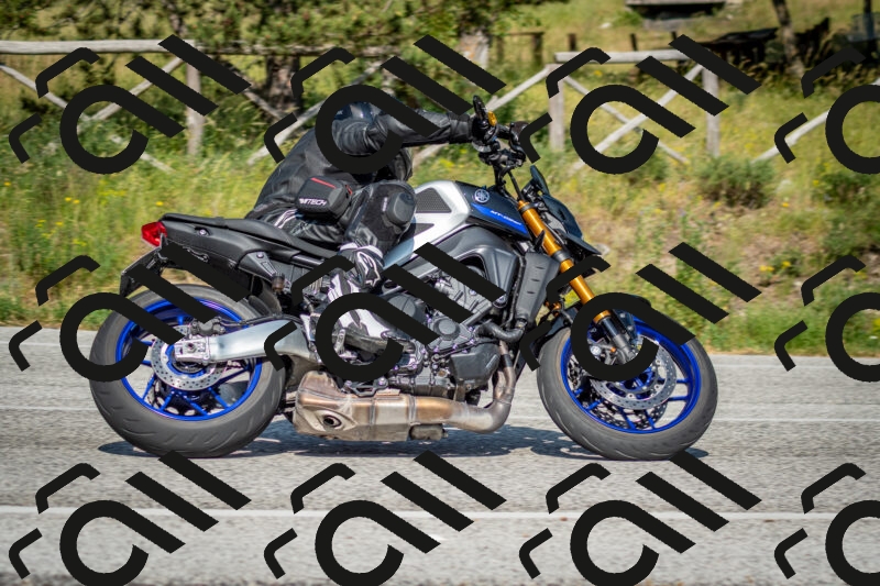 202506141639-DSC_9434_c2