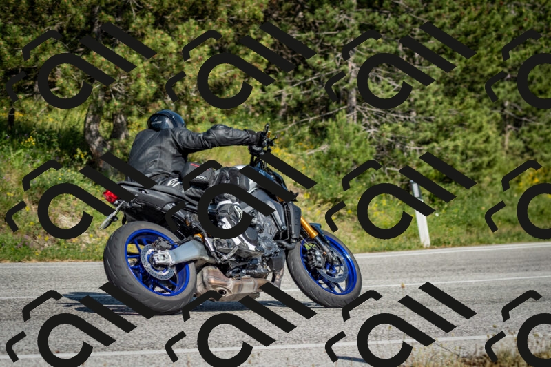 202506141639-DSC_9435_c2