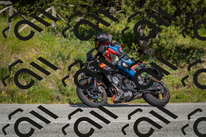 202506141639-DSC_9436_c2