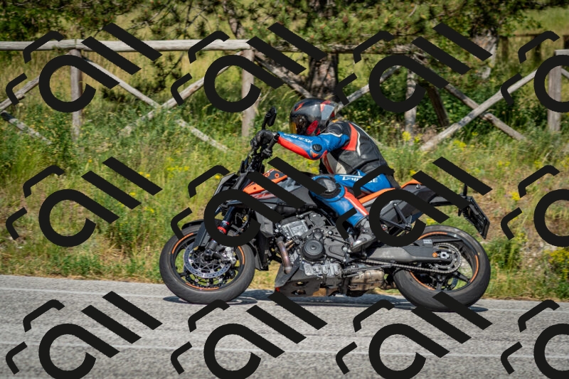 202506141639-DSC_9437_c2