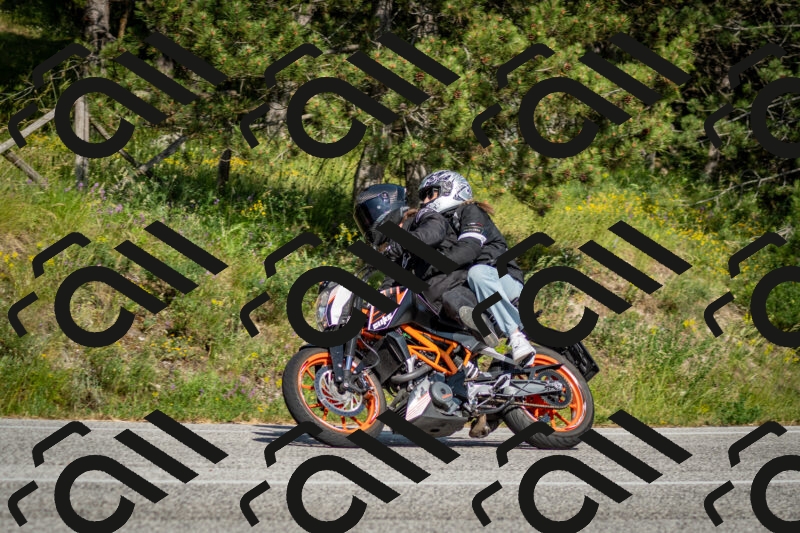 202506141639-DSC_9439_c2