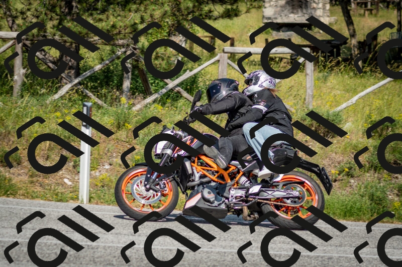 202506141639-DSC_9440_c2