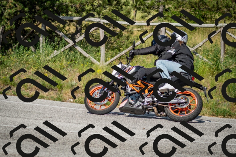 202506141639-DSC_9441_c2