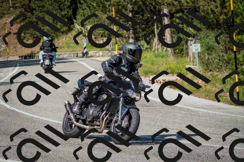 202506141639-DSC_9442_c2