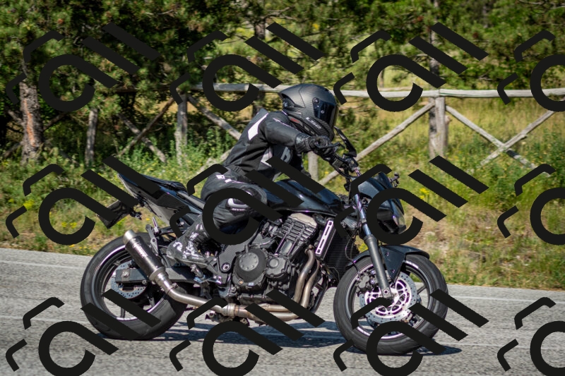 202506141639-DSC_9443_c2