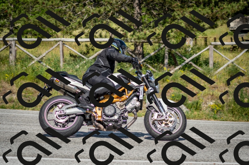 202506141639-DSC_9446_c2