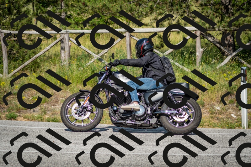 202506141640-DSC_9454_c2