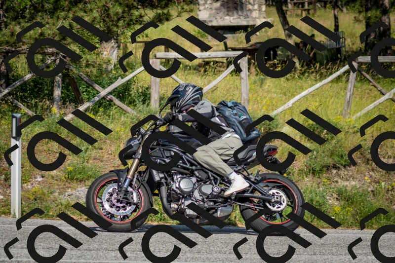 202506141642-DSC_9459_c2