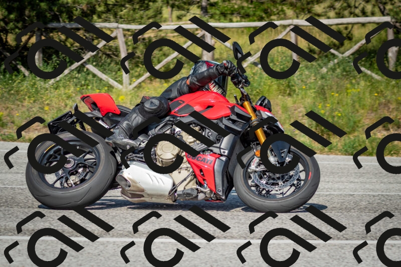 202506141647-DSC_9473_c2