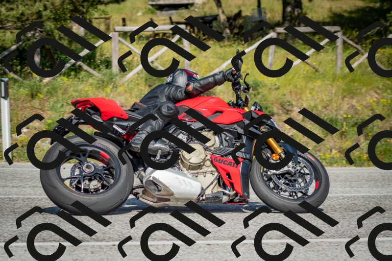 202506141647-DSC_9474_c2