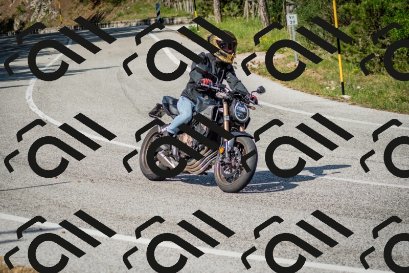 202506141649-DSC_9481_c2