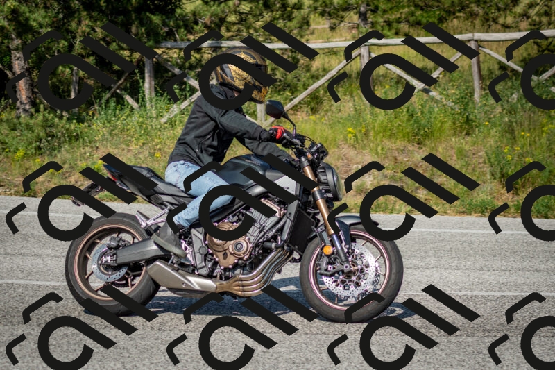 202506141649-DSC_9482_c2