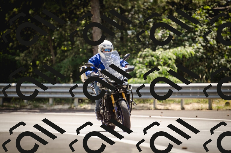 20250614145611_0AP6253_c5_