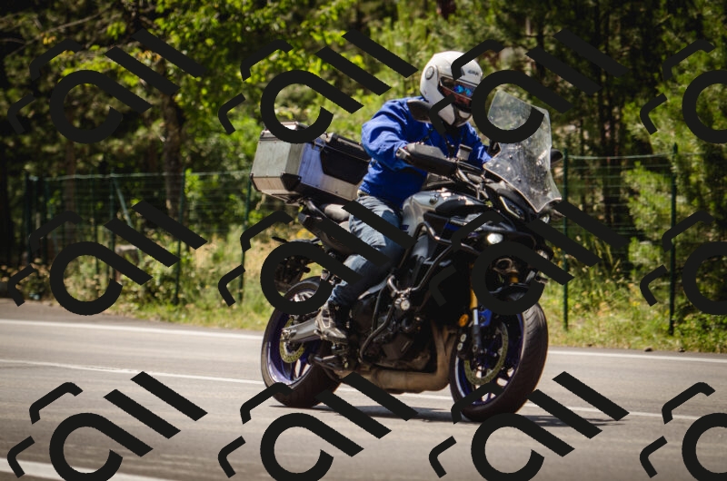 20250614145612_0AP6255_c5_