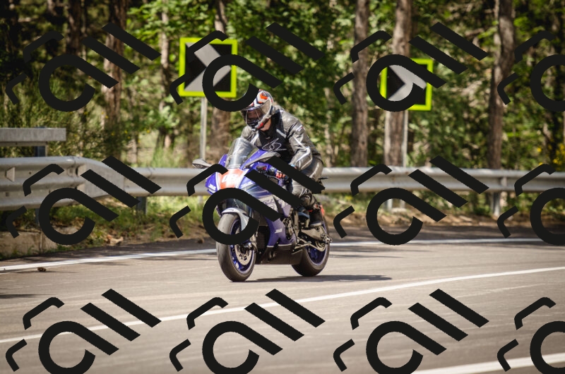 20250614153054_0AP6391_c5_