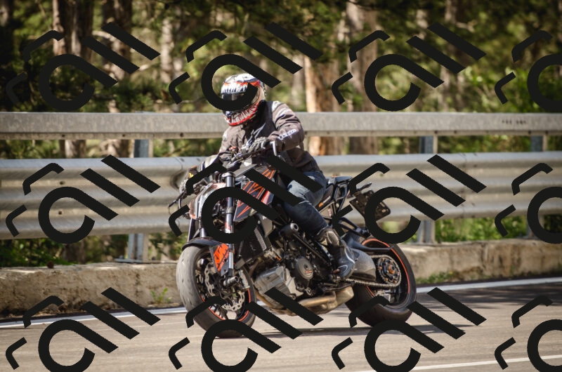 20250614160311_0AP6477_c5_