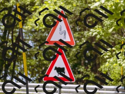 202506141124-_DSC8957_d1_