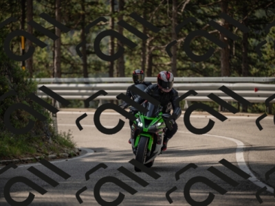 20250615100522-_Z621542_am_