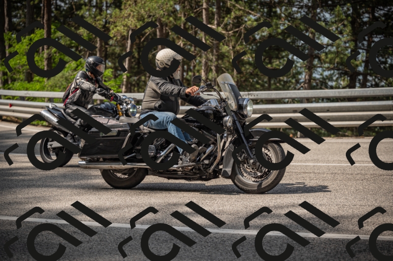 20250615100704-_Z621553_am_