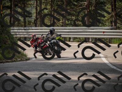 20250615100952-_Z621567_am_