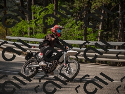 20250615101109-_Z621574_am_