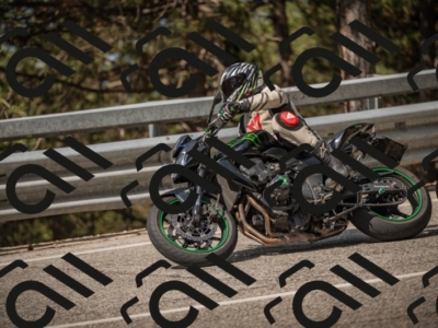 20250615101154-_Z621583_am_