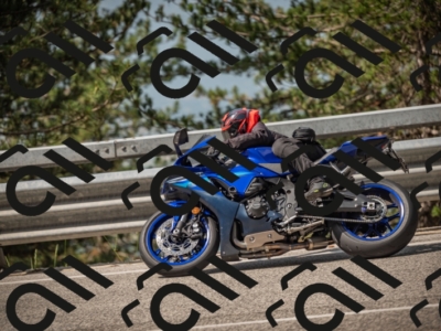 20250615101646-_Z621592_am_