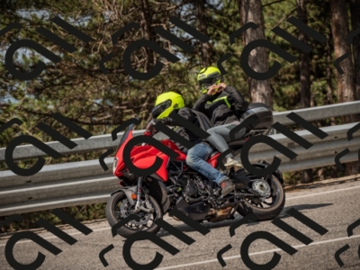 20250615101742-_Z621598_am_