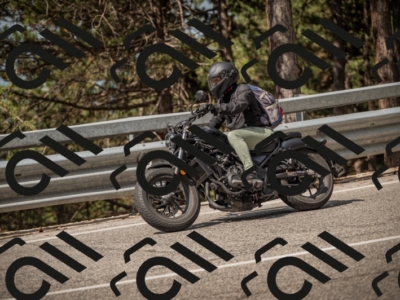 20250615102324-_Z621615_am_