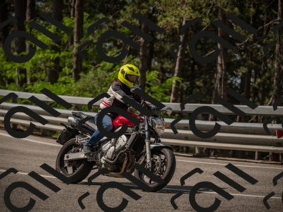 20250615102746-_Z621644_am_