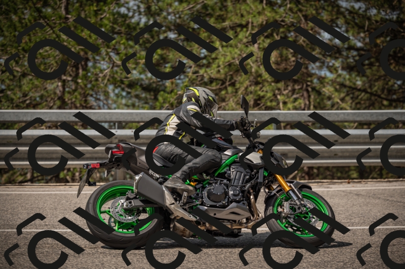 20250615102829-_Z621653_am_