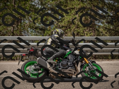 20250615102829-_Z621653_am_