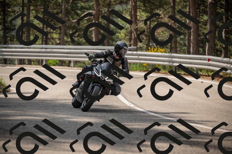 20250615102916-_Z621663_am_