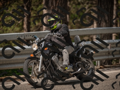 20250615103637-_Z621690_am_