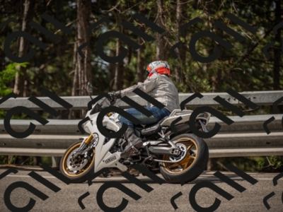 20250615103829-_Z621707_am_